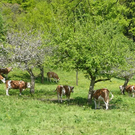 Adlerhof Farmház *