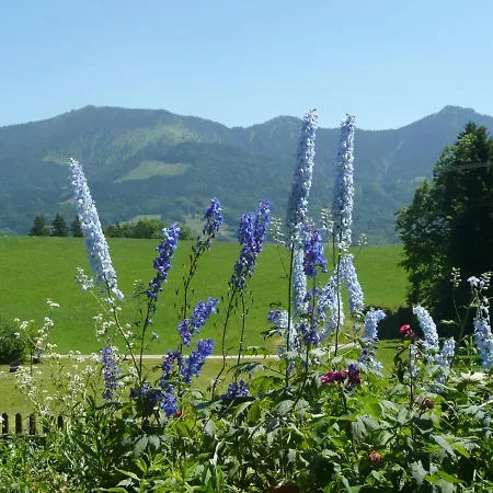 Farmház Adlerhof Samerberg