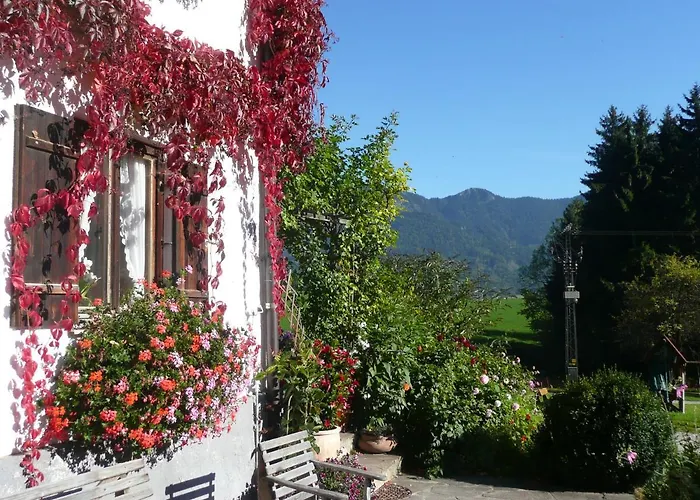 Adlerhof سامربيرغ