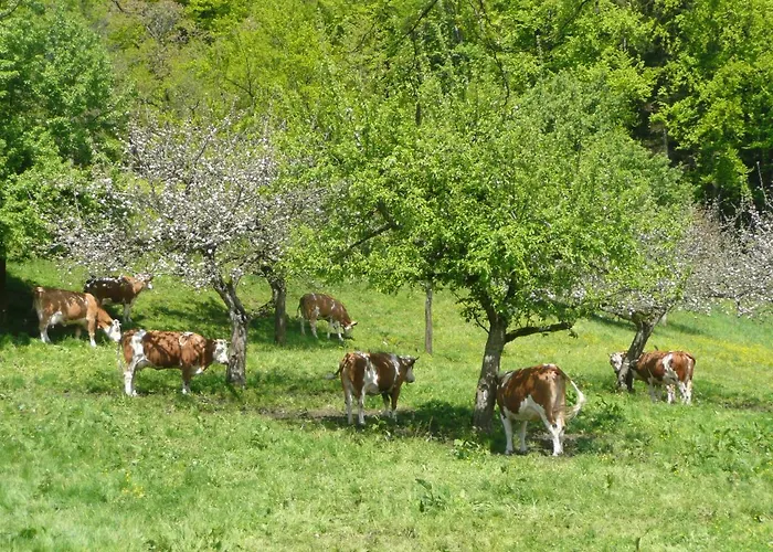 Adlerhof مزرعة للإقامة *