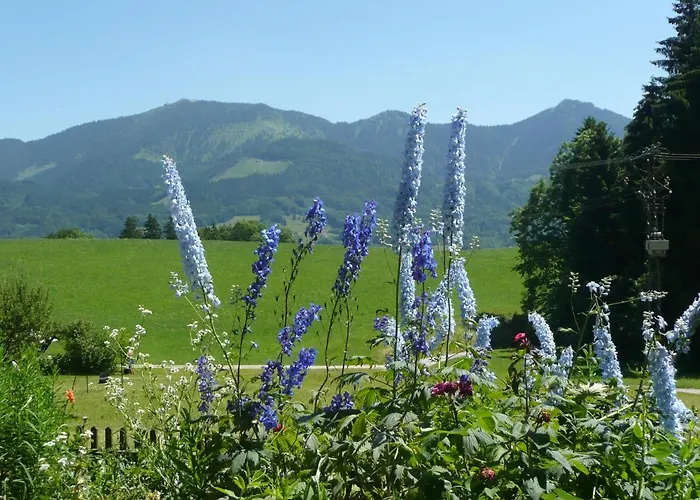 مزرعة للإقامة Adlerhof سامربيرغ